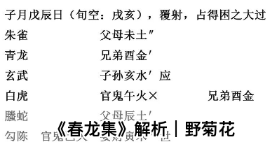 《春龙集》解析｜野菊花（乾坤网算命