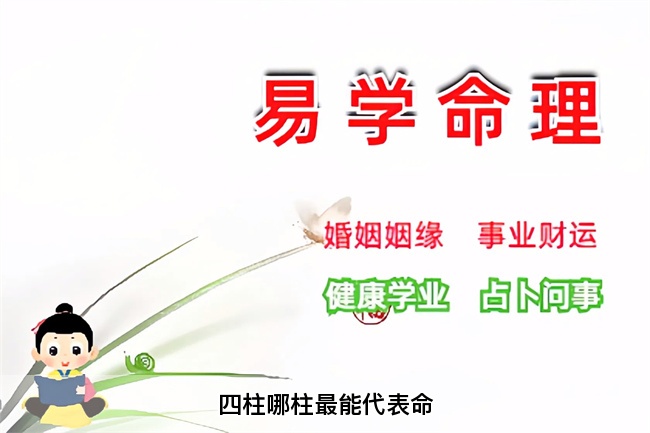 四柱哪柱最能代表命（乾坤网算命一条街）