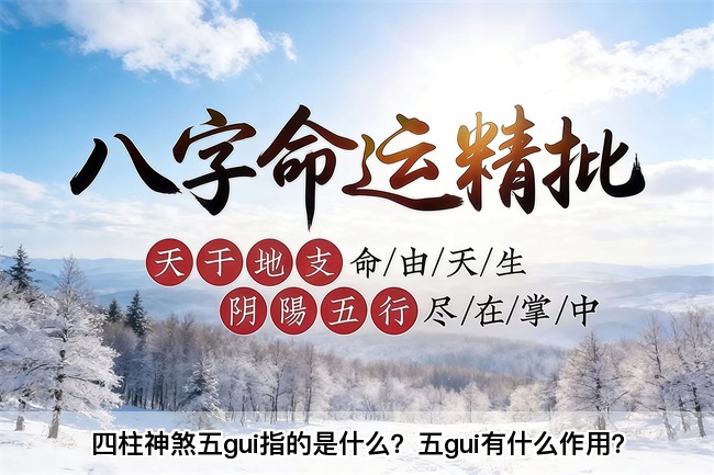 四柱神煞五gui指的是什么？五gui有什么作用？