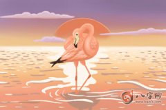 八字终身运 伤官配印的女人一生穷苦吗