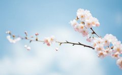 母亲节民政局上班吗，可以领结婚证吗？