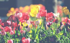 2021年农历四月二十九出生的男宝宝有上进心吗？