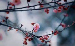 2021年农历四月二十二黄历日子好吗,装修房子好吗？