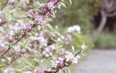 2021年农历四月初一黄历日子好吗,适合装修动土吗？