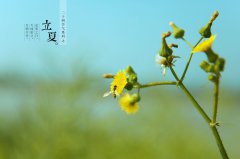2021年5月5日立夏日子好吗,立夏适合安葬逝者吗？