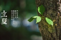 立夏吃什么传统食物，饮食习俗是什么？