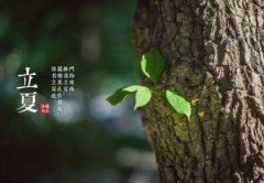 2021年立夏这一天适合结婚订婚吗？立夏与夏至有什么区别？