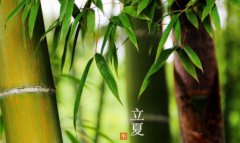 立夏简介，立夏来历是什么？