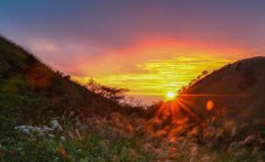 2021年农历三月三出生是什么星座？