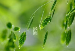 谷雨吃什么蔬菜水果比较好？