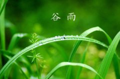 谷雨是什么意思，谷雨节气有何气候特点？