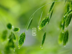 2021年农历三月初五谷雨节气日子适合装修动土吗？