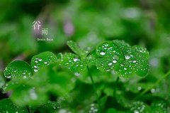 2021年农历三月初五谷雨日子好吗,适合祭祀祖先吗？