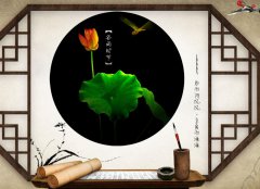 属蛇人谷雨节气出生好不好，性格有何特点？