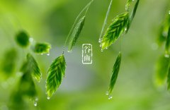 谷雨注意什么？2021谷雨是什么时候？