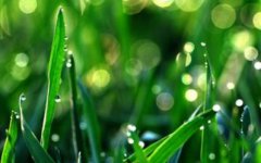 谷雨不能做什么？谷雨有什么意义？