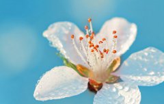 2021年农历三月十九日子好吗,可以去烧香祈福吗？