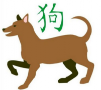 生肖配对算命:属牛和属狗相配属于无恩之刑有损子孙