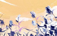 生辰八字换算器 生辰八字算命免费测试