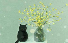 八字事业运 正印格财星破印是大财