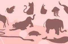 乙卯日柱遇2021辛丑流年大运,获得自己的良缘