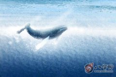 2020年12月26日出生的宝宝五行查询,生辰八字详细分析