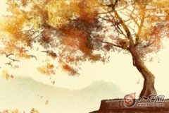 五行查询表 2020年5月9日出生是什么命