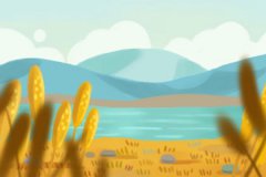 女性五行缺金命中无夫 真的这么严重吗