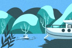 2020年称骨算命表：二两五钱命运详解