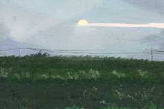 西四命的女人命好不 有什么影响