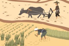 2020年称骨算命表：二两三钱命运详解