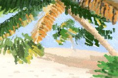 金水伤官八字木多财运如何