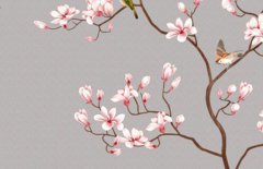 寒衣节出生的男孩命好不好 出生男孩名字推荐