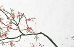 2022年12月23日出生的宝宝命理分析,八字五行缺什么