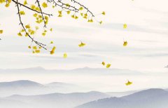 2022年12月28日生孩子好吗,宝宝八字五行分析