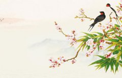 下元节出生的女孩是天胎吗 天生命硬无忧之命