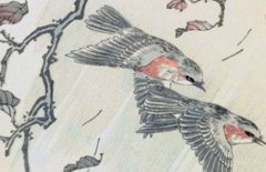 属虎几月生是一等命 人中龙凤一生发达辉煌