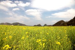 2019猪年出生的巴姓男孩怎么样起名字，姓巴男孩好名推荐