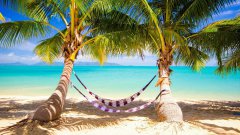 2019年猪年出生袁姓女孩怎么样起名字，袁姓女孩好名推荐