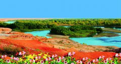 2019猪年出生的伊姓男孩怎么样起名字，姓伊男孩好名推荐