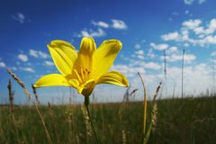 2019猪年出生的黄甫姓男孩怎么样起名字,姓黄甫男孩好名推荐