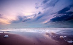 属猴爸爸和猪宝宝相冲吗