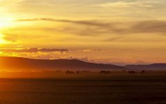 本命年按周岁还是虚岁算？本命年有什么说法