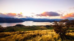 2019猪年正月二十三出生的女孩命好不好，性格怎么样