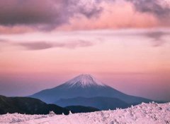 属羊女和属猴男结婚会离婚吗，能不能过一辈子