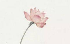 2022年4月11日出生的属虎女宝宝八字五行查询 善于理财 福禄荣昌