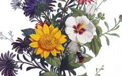 2022年4月13日出生属虎男宝宝八字命理分析 温柔敦厚 贵人帮扶