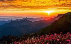 四柱神煞中寡宿是什么意思？犯寡宿如何化解？