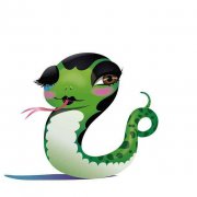 属蛇和属虎相合吗？属蛇和属虎性格如何？