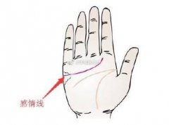 感情线断裂成两截一上一下 感情线断裂解析